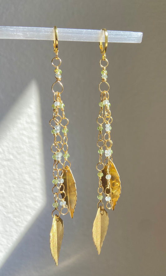 The Hazel - Higher Spiritual Essences and Energies, Protection, Flow + Healing